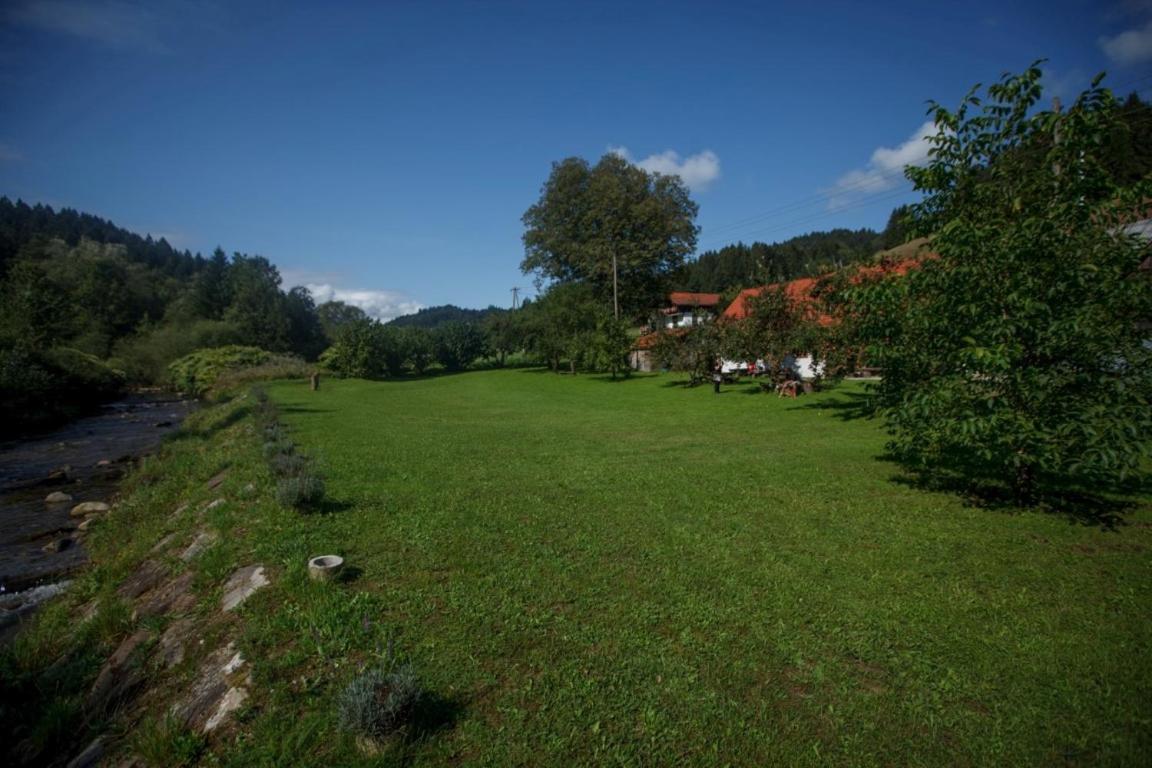 Maison d'hôtes Kovacija Pri Kovacu à Podvelka Extérieur photo